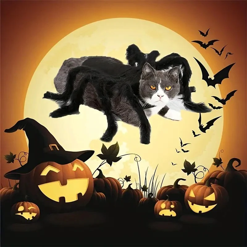Pet Funny Spider Costume