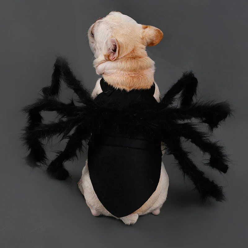 Pet Funny Spider Costume