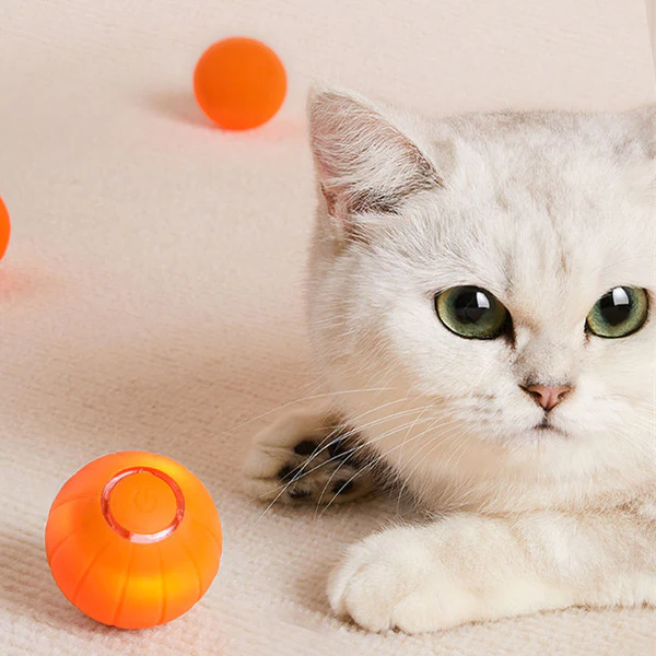 Pet Ball (Special Edition)