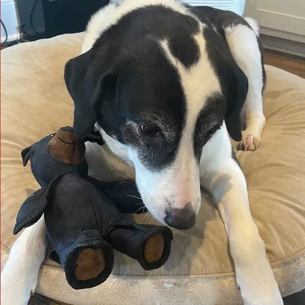 Indestructible & Interactive Bear Dog Toys For Heavy Chewers