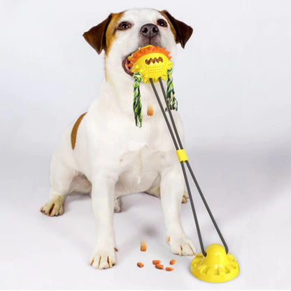 Interactive Self-Playing Pet Toy