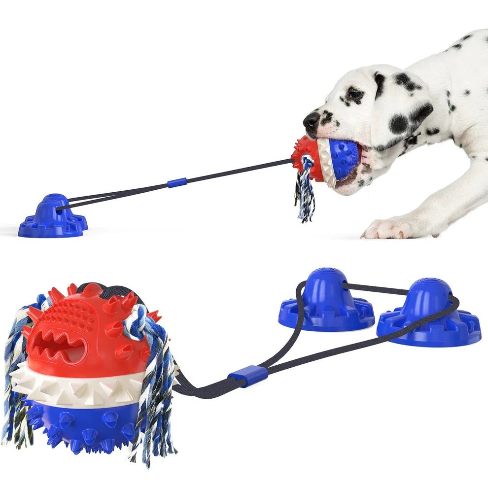 Interactive Self-Playing Pet Toy