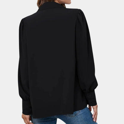 Pleated Long Sleeve Women's Blouse