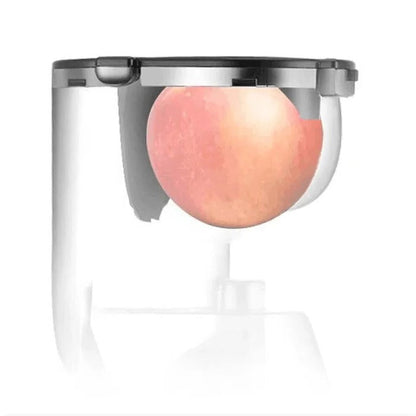 Automatic Juicer - Juicer Household Residue for Fruits and Vegetables