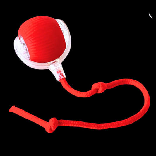 Smart Interactive Cats Ball Toy