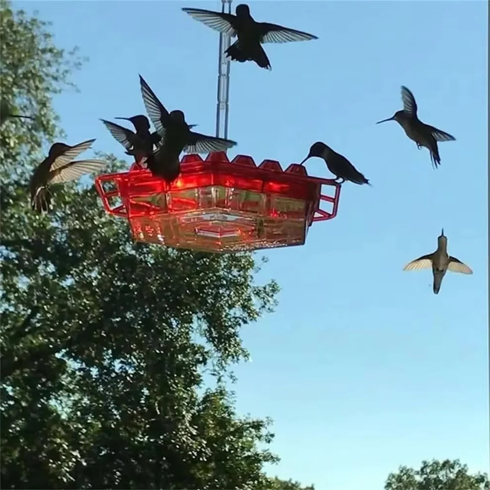 Ant Proof Hummingbird Feeder Outdoor Hanging Perch