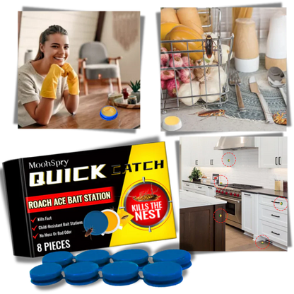 Odorless Cockroach Traps