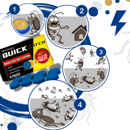 Odorless Cockroach Traps