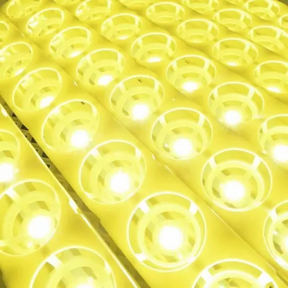 Premium Egg Incubator Automatic Chicken Quail Egg Hatcher 24 Eggs