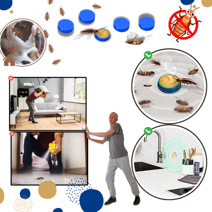 Odorless Cockroach Traps