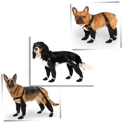 Waterproof Dog Suspenders Boots