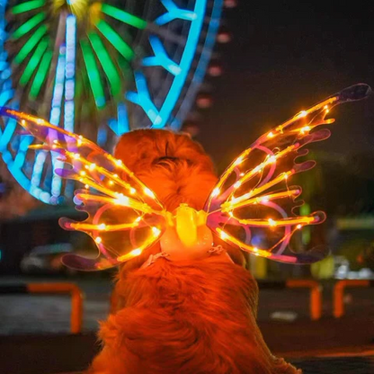 Electric Colorful Kids / Adults LED Fairy Wings Costume