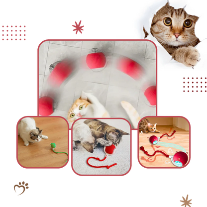 Smart Interactive Cats Ball Toy