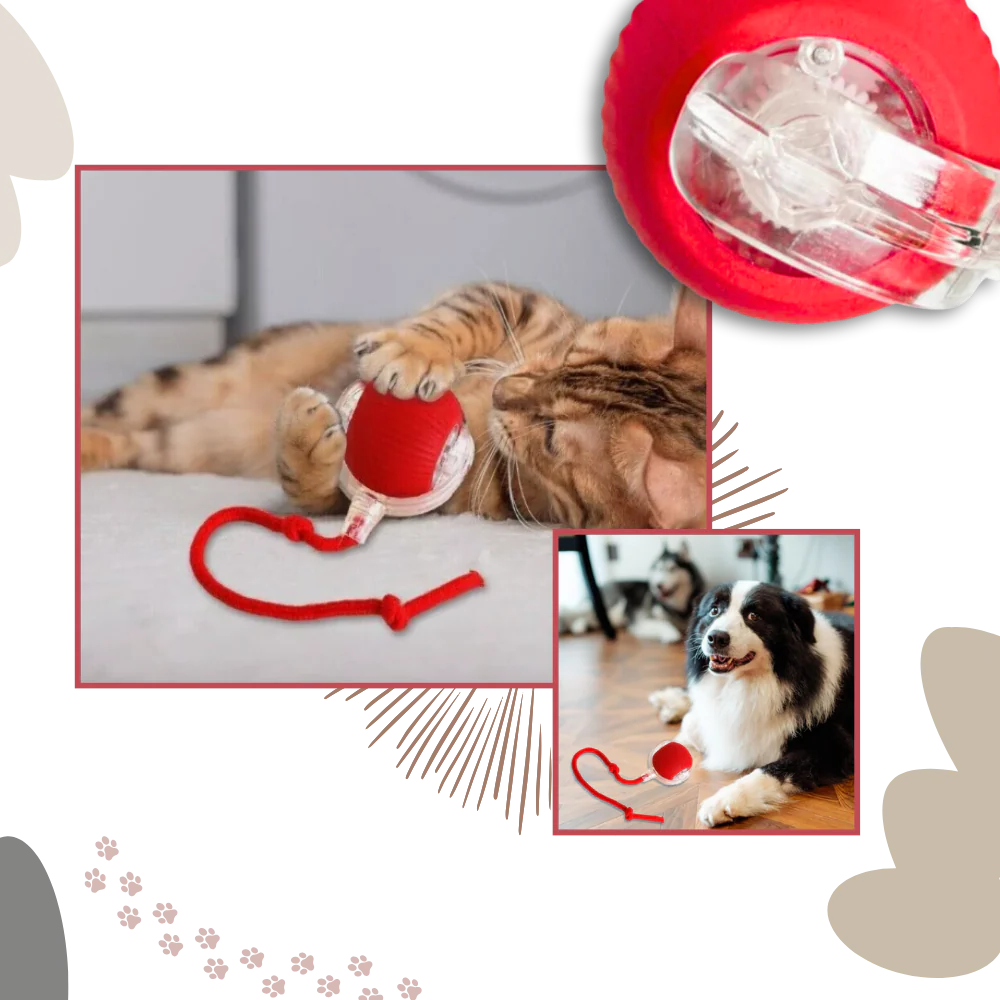 Smart Interactive Cats Ball Toy