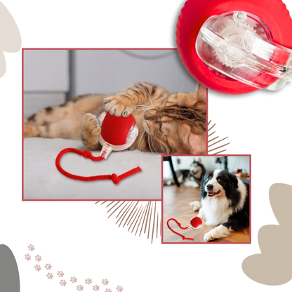 Smart Interactive Cats Ball Toy