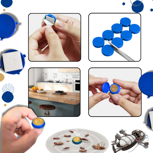 Odorless Cockroach Traps