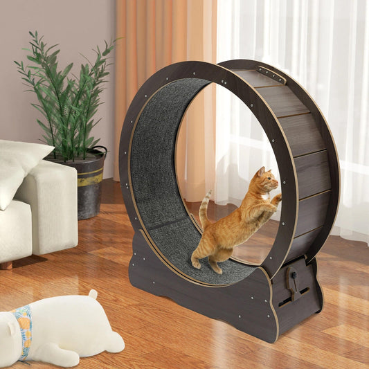 Cat Exercise Wheel
