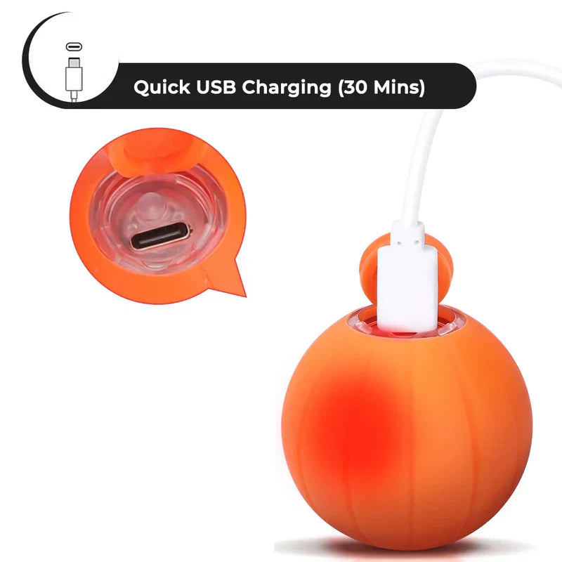 Pet Ball (Special Edition)