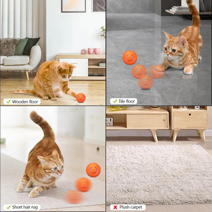 Pet Ball (Special Edition)